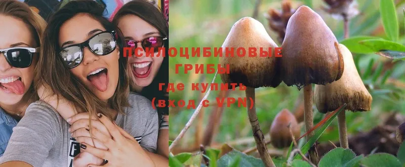 Псилоцибиновые грибы Magic Shrooms  mega как зайти  Сергач 